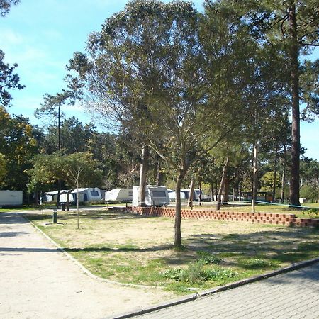 Orbitur Caminha Bungalows - Caravan Park 외부 사진