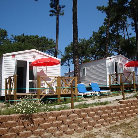 Orbitur Caminha Bungalows - Caravan Park 외부 사진