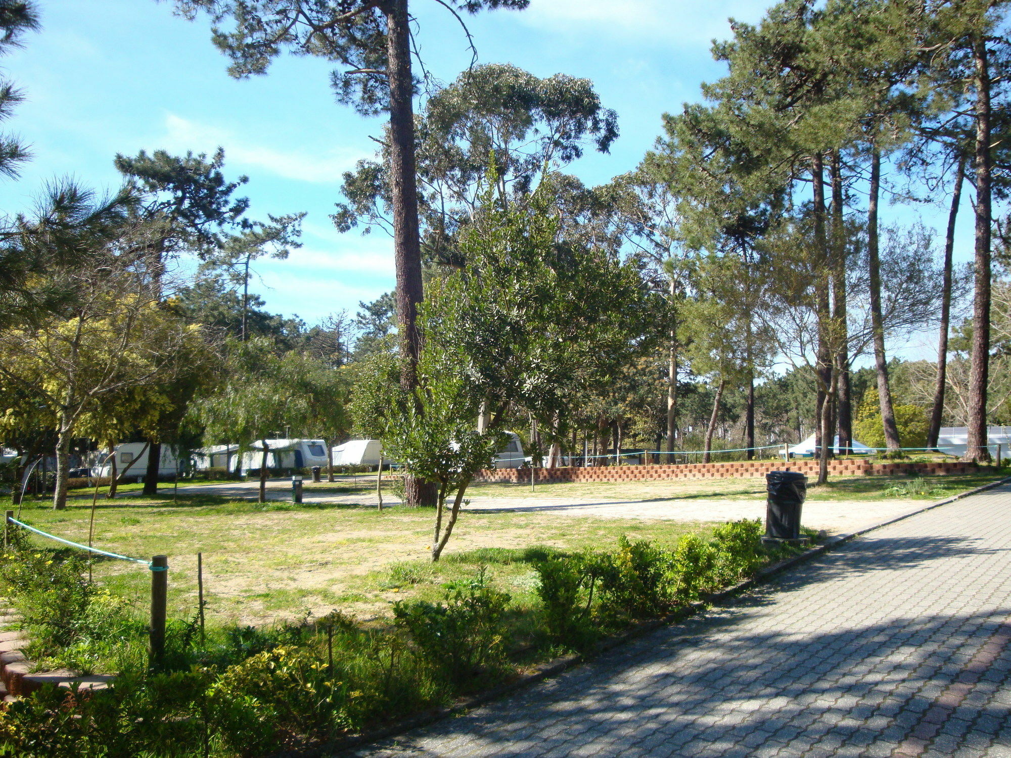 Orbitur Caminha Bungalows - Caravan Park 외부 사진